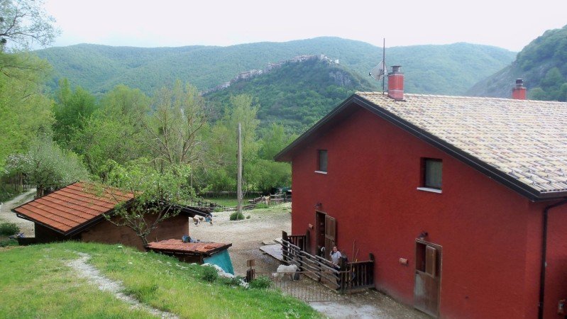 Camera 10 ospiti, con giardino