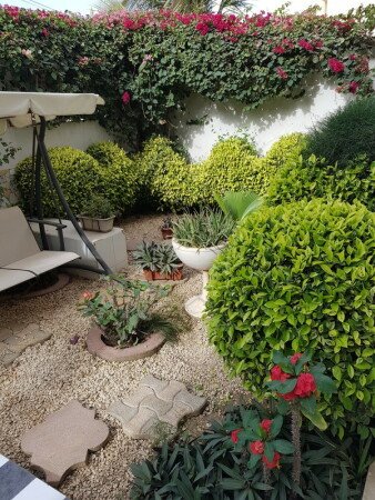 Chambre confortable, 4 voyageurs, avec jardin