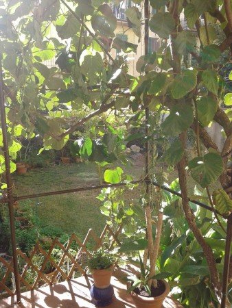 Habitación 2 huéspedes