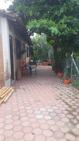 Room 7 guests, with garden