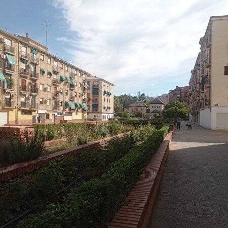 Habitación 1 huésped