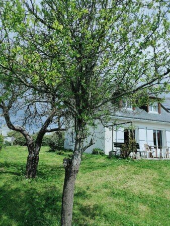 Camera 2 ospiti, con giardino