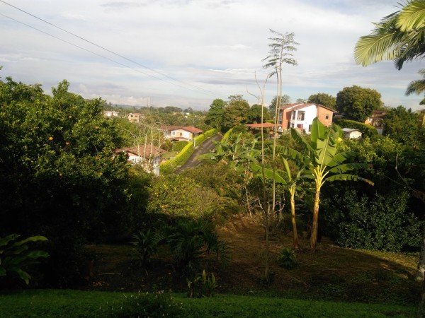 Habitación 1 huésped, con jardín