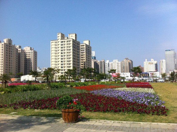 Room 1 guest, with pool