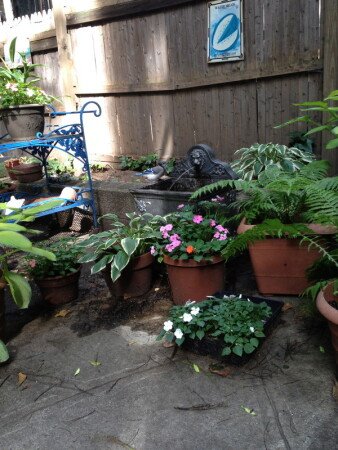 Room 1 guest, with garden