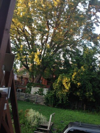 Chambre moderne, 10 voyageurs, avec jardin