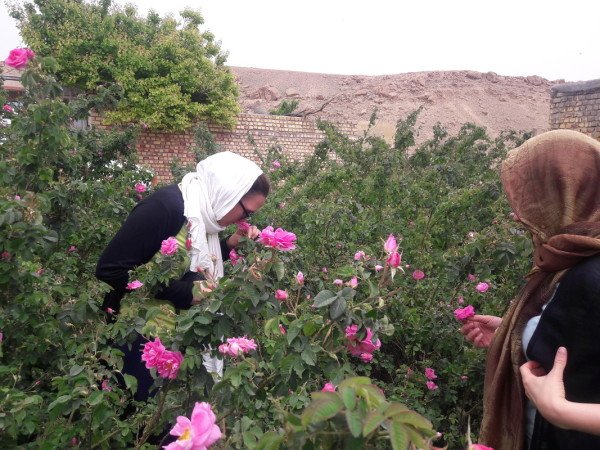 Wohnung 2 Schlafzimmer, mit WLAN