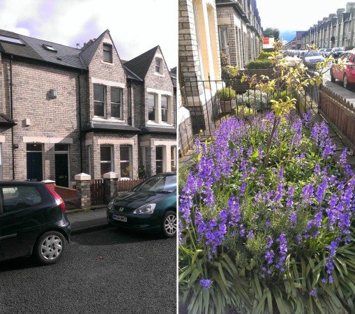 Chambre confortable, 3 voyageurs