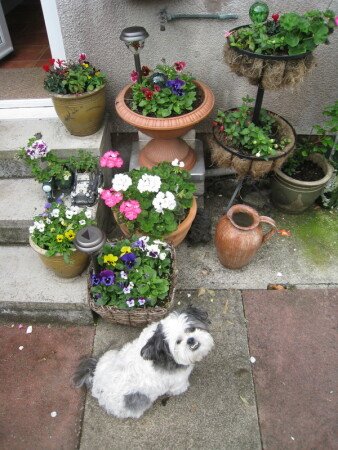 Chambre 2 voyageurs, avec jardin