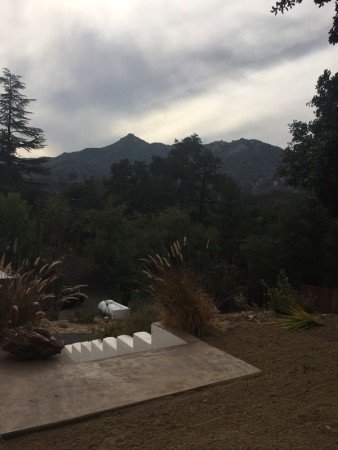 Room 2 guests, with garden