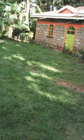 Room 2 guests, with garden