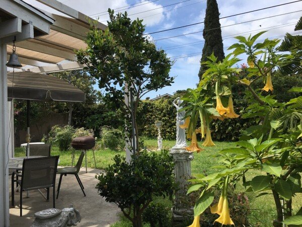 Room 4 guests, with garden