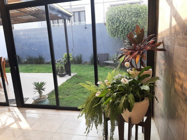 Alojamiento 1 habitación, con jardín