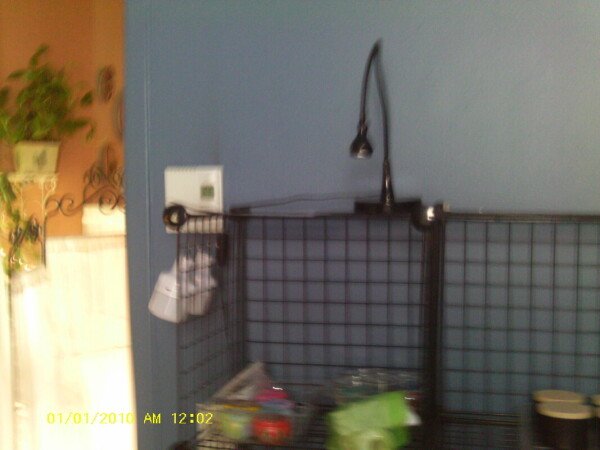 Chambre 1 voyageur, avec wifi