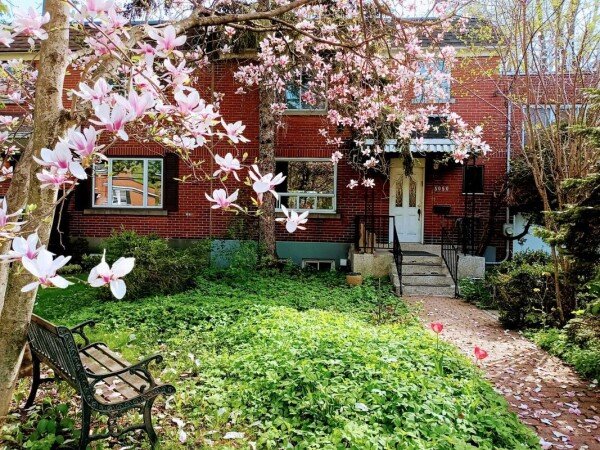 Chambre confortable, 3 voyageurs, avec jardin