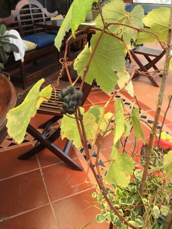 Habitación 14 huéspedes, con wifi