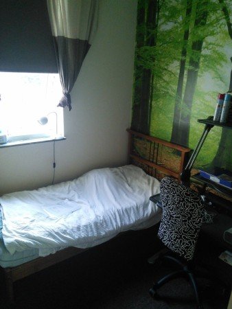 Chambre 1 voyageur, avec jardin