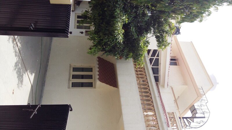 Room 13 guests, with garden