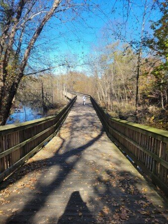 Room 2 guests, with garden