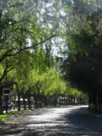 Habitación 4 huéspedes, con piscina