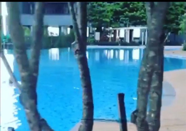 Room 1 guest, with pool