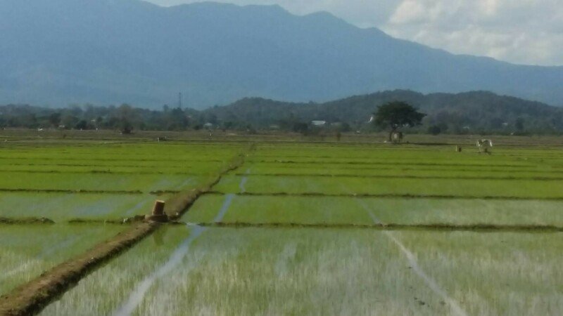 Chambre authentique, 6 voyageurs, avec piscine