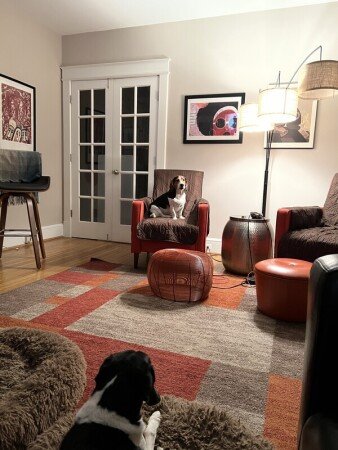 Chambre 3 voyageurs, avec jardin