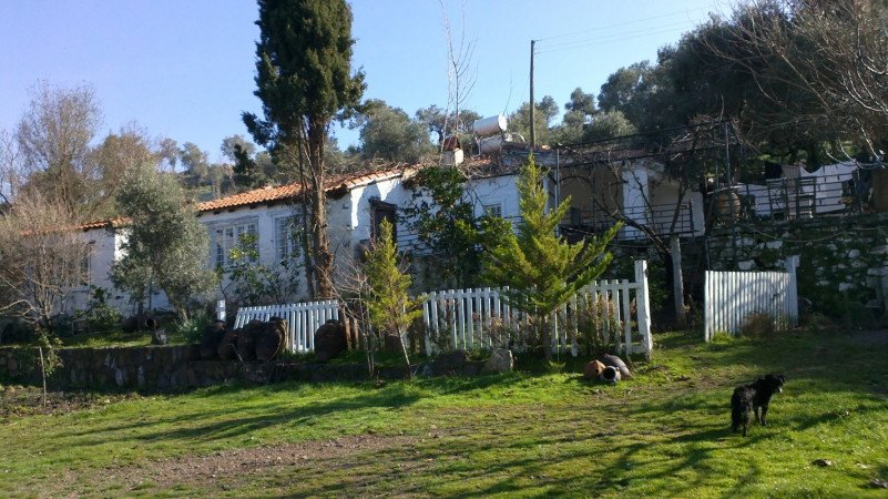 Camera 6 ospiti, con giardino