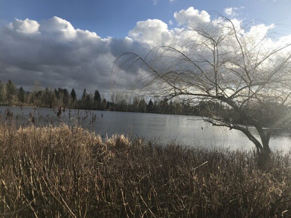 Chambre 1 voyageur, avec jardin