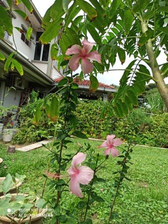 Room 2 guests, with gym