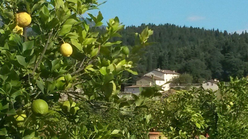 Camera 4 ospiti, con giardino