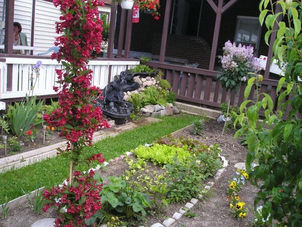 Room 8 guests, with garden