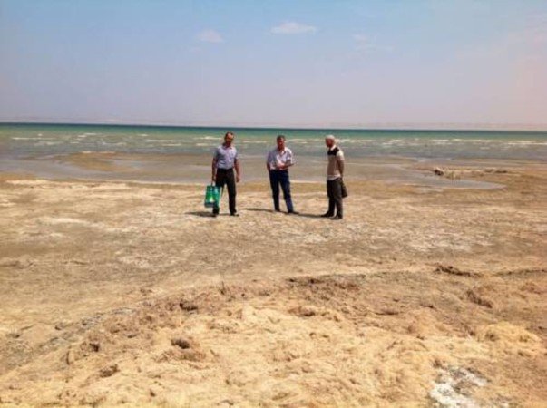 Room 5 guests, with garden