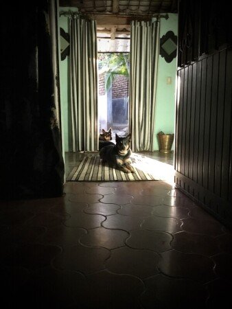 Habitación 2 huéspedes, con jardín