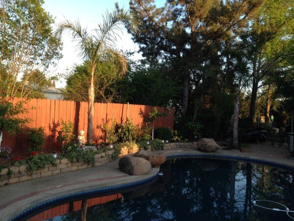 Room 1 guest, with pool