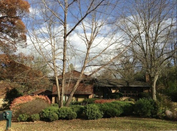 Room 1 guest, with pool