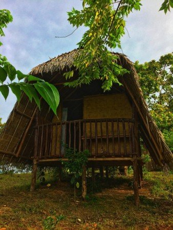 Room 7 guests, with garden