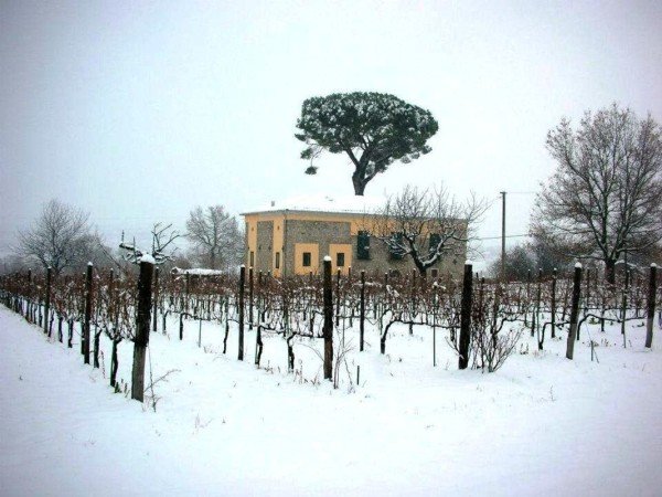 Camera 7 ospiti, con giardino