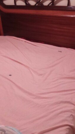 Room 2 guests, with garden