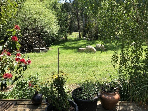 Room 1 guest, with garden