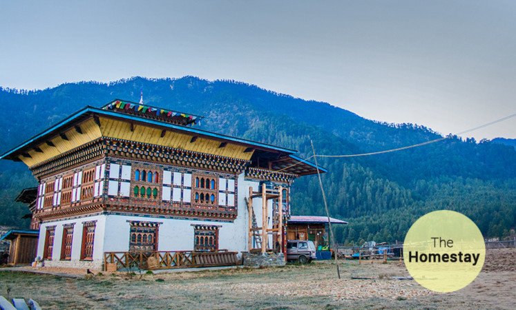 Room 5 guests, with garden