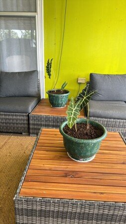 Room 4 guests, with wifi