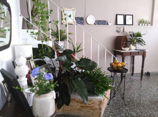 Room 13 guests, with garden