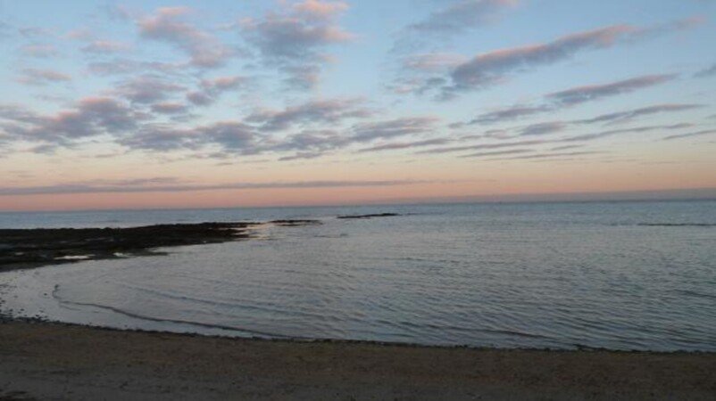 Habitación 1 huésped, con jardín