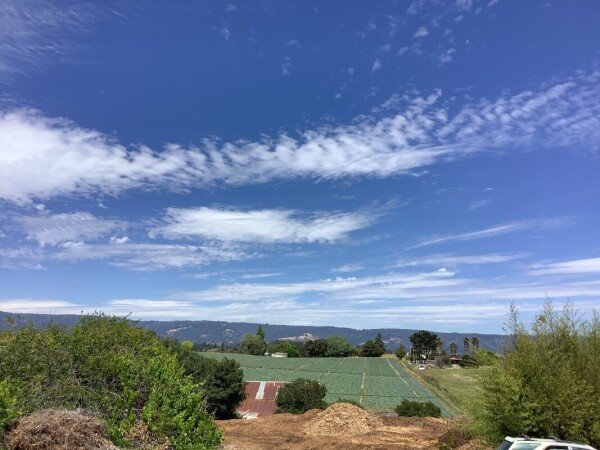 Room 2 guests, with pool