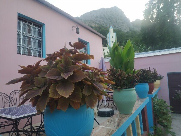 Chambre authentique, 14 voyageurs, avec jardin