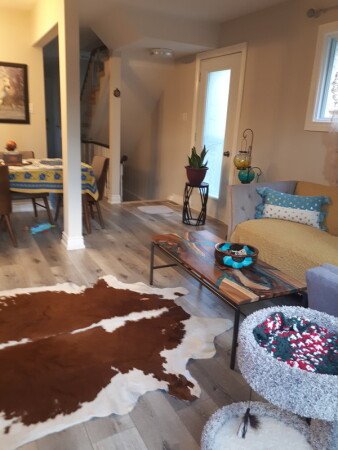 Chambre 1 voyageur, avec jardin