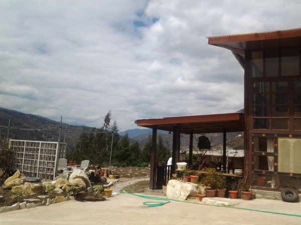 Room 8 guests, with garden