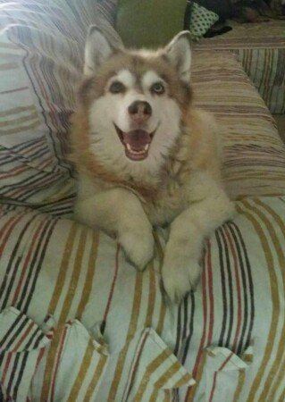 Apartamento 1 habitación, con aire acondicionado