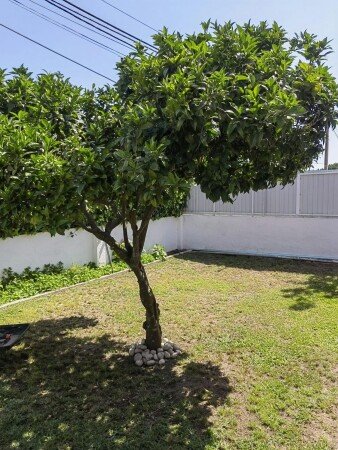 Casa 1 habitación, con aire acondicionado